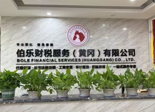 2026年4月新發(fā)布 黃岡財(cái)稅顧問(wèn)優(yōu)選——伯樂(lè)企業(yè)管理咨詢實(shí)力解析